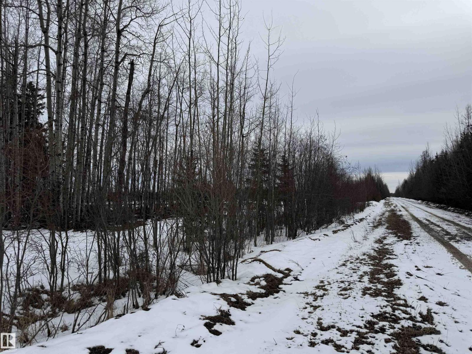 Twp 470 Rr 65, Rural Wetaskiwin County, Alberta T0C 0T0 - Photo 7 - E4481501