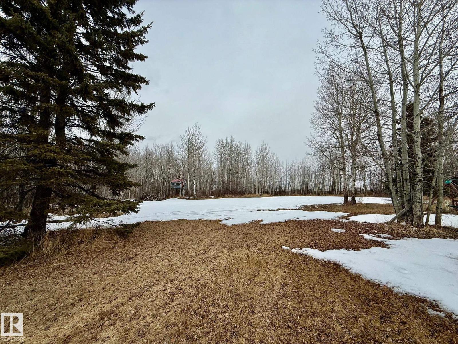 48052 Range Road 273, Rural Leduc County, Alberta T0C 0V0 - Photo 43 - E4481757