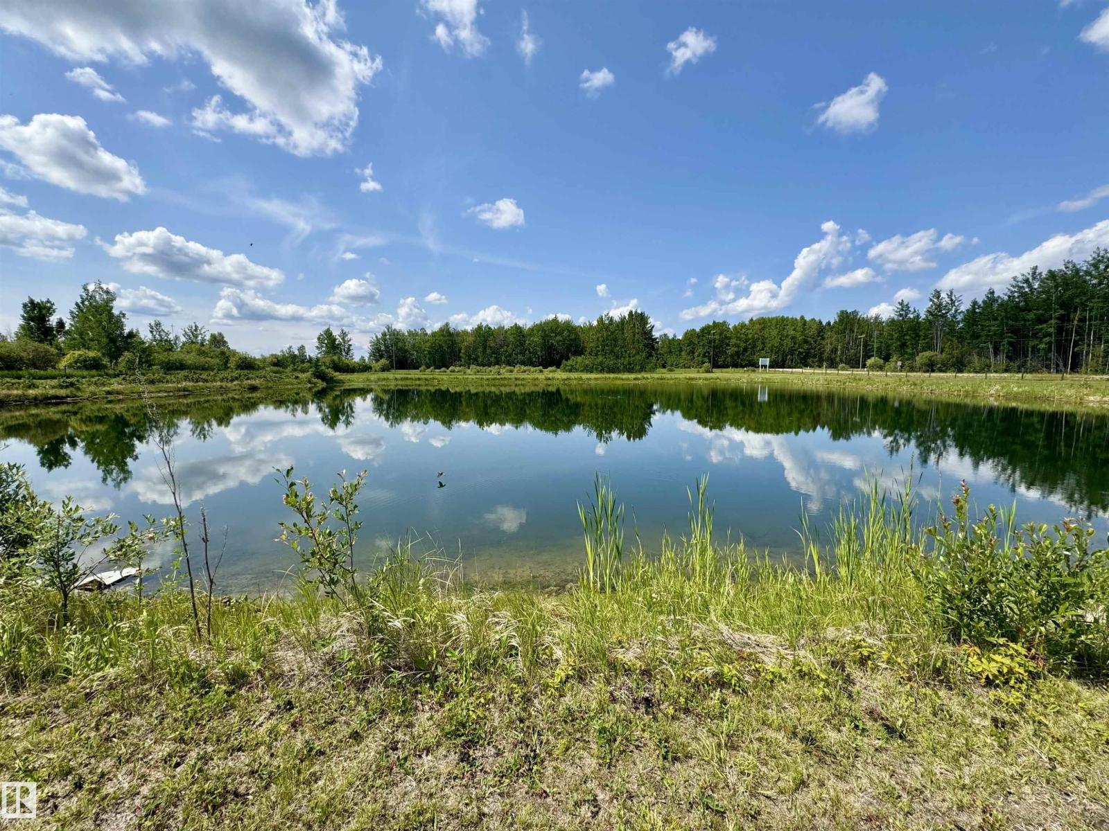 102 49413 Rr 81, Rural Brazeau County, Alberta T7A 1S6 - Photo 65 - E4481781