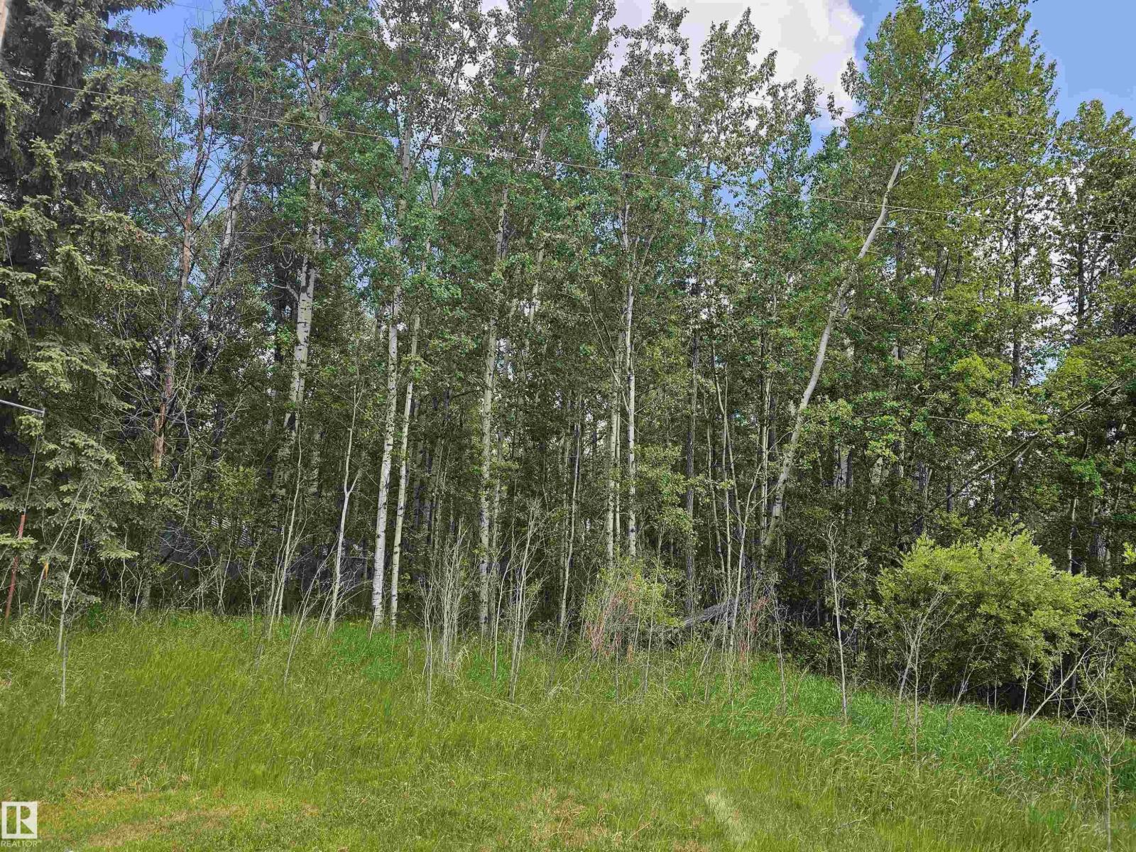 82 4418 Hwy 633, Rural Lac Ste. Anne County, Alberta T0E 0L0 - Photo 4 - E4482070