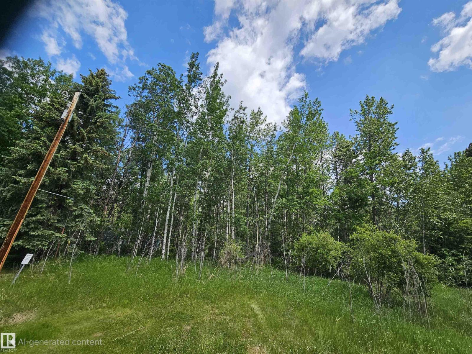 82 4418 Hwy 633, Rural Lac Ste. Anne County, Alberta T0E 0L0 - Photo 5 - E4482070