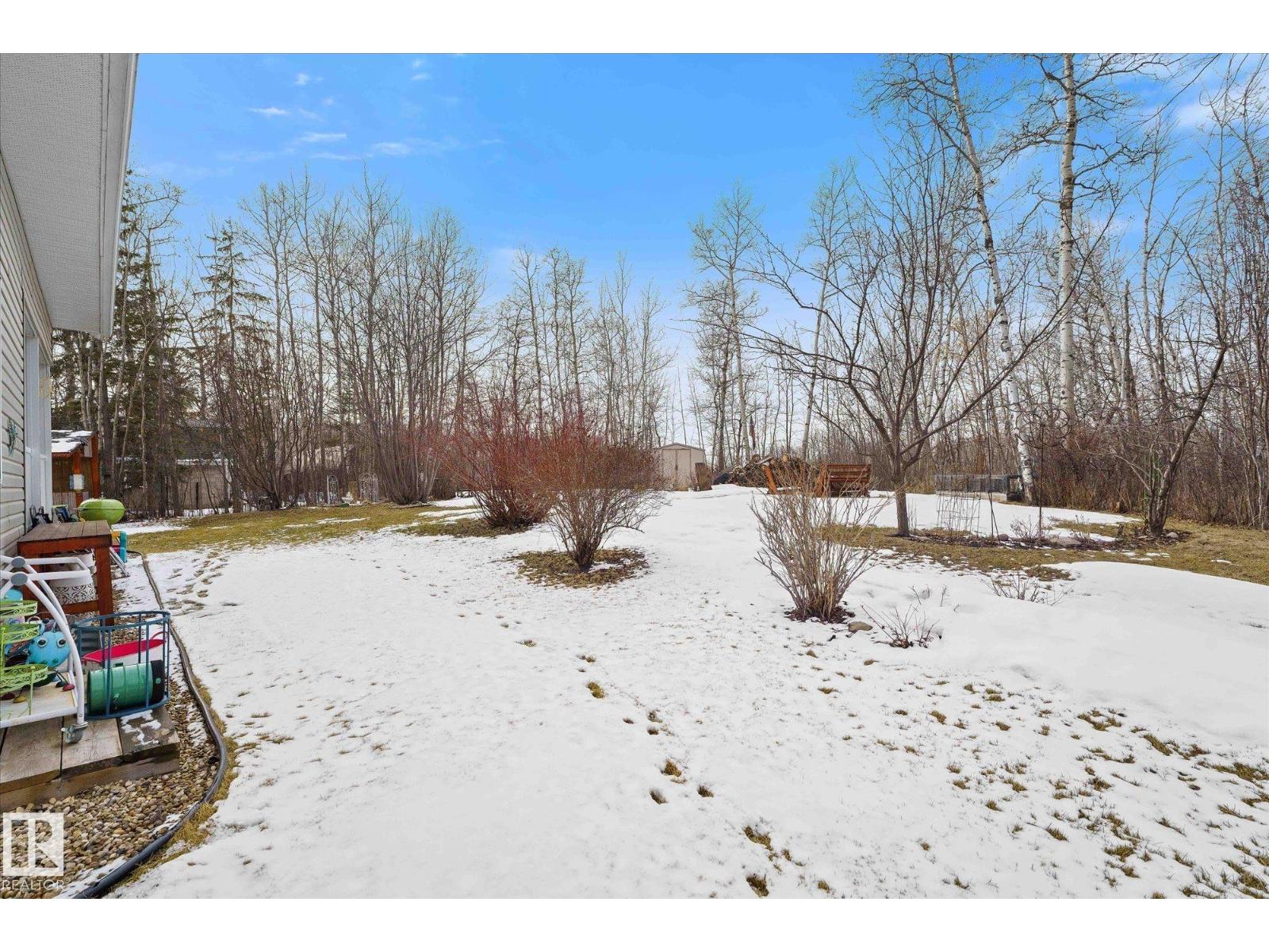 #460 48057 Rge Rd 272, Rural Leduc County, Alberta T0C 2C0 - Photo 50 - E4482100