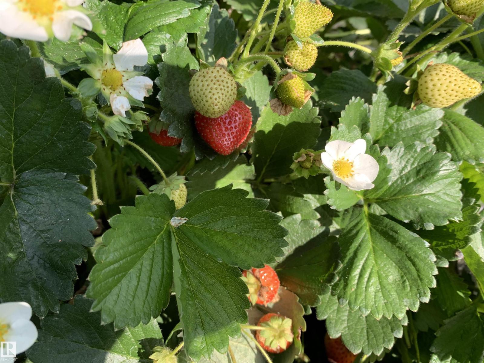 B 7211 Twp Rd 474, Rural Brazeau County, Alberta  T0C 0S0 - Photo 57 - E4482249