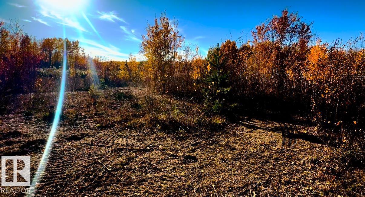 Nw 31-46-1-5, Rural Wetaskiwin County, Alberta  T0C 2C0 - Photo 4 - E4482643