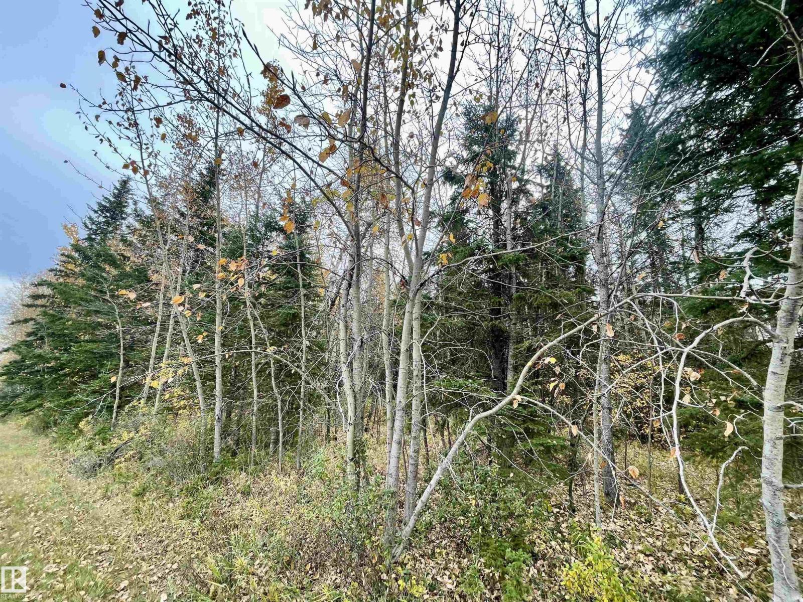 3 Pleasant Valley Ac, Rural Wetaskiwin County, Alberta  T0C 2V0 - Photo 2 - E4482708