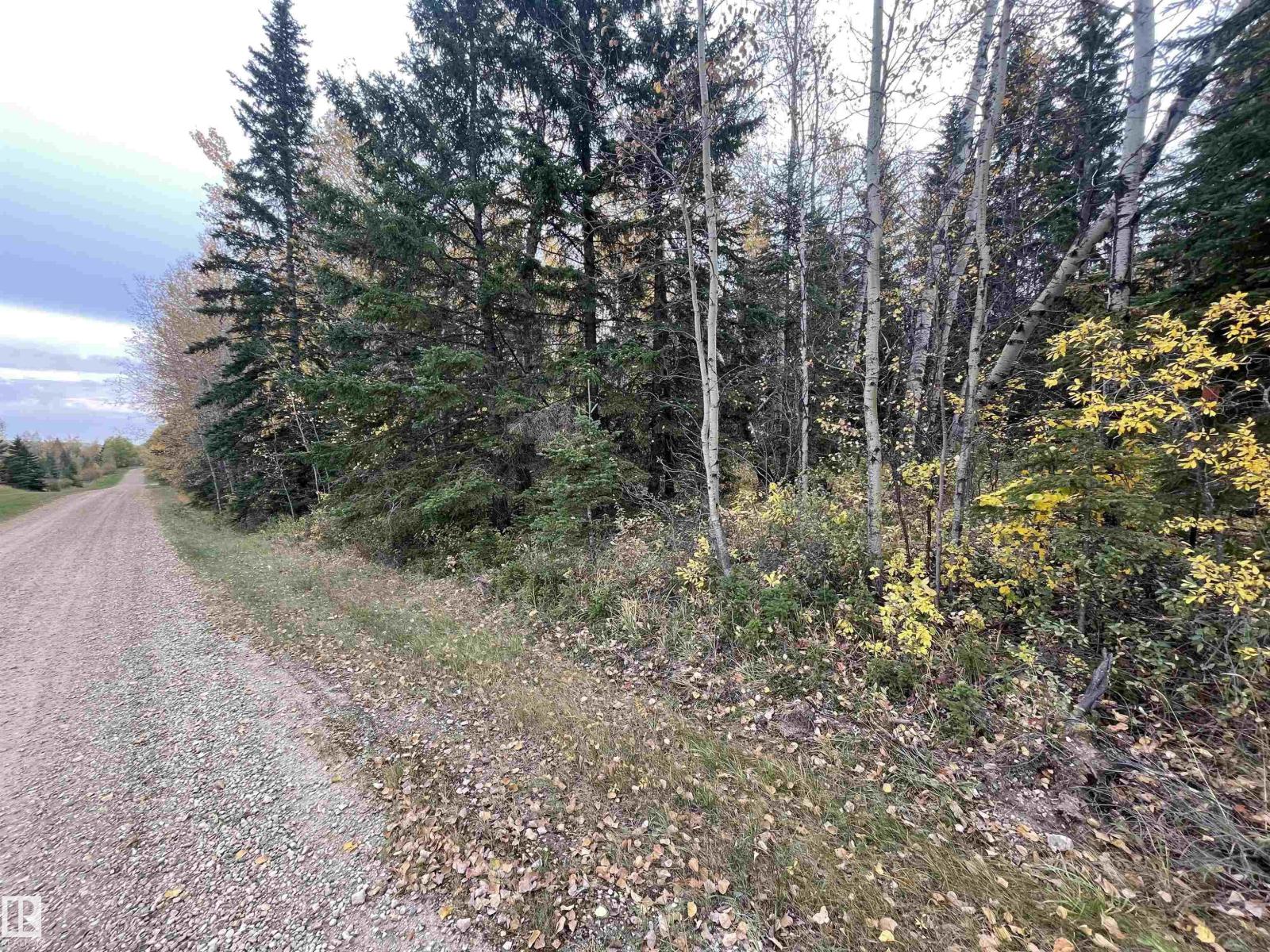 3 Pleasant Valley Ac, Rural Wetaskiwin County, Alberta  T0C 2V0 - Photo 6 - E4482708