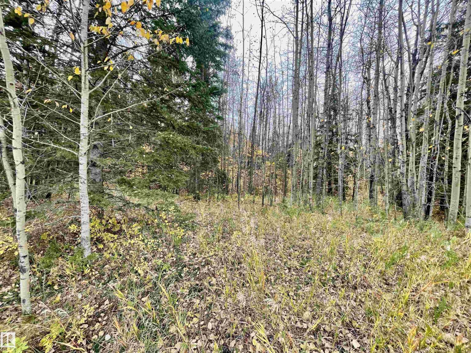 3 Pleasant Valley Ac, Rural Wetaskiwin County, Alberta  T0C 2V0 - Photo 7 - E4482708