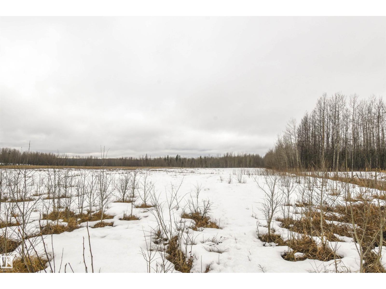 Rge Rd 73 And Twp Rd 484, Rural Brazeau County, Alberta  T7A 1R7 - Photo 12 - E4482902