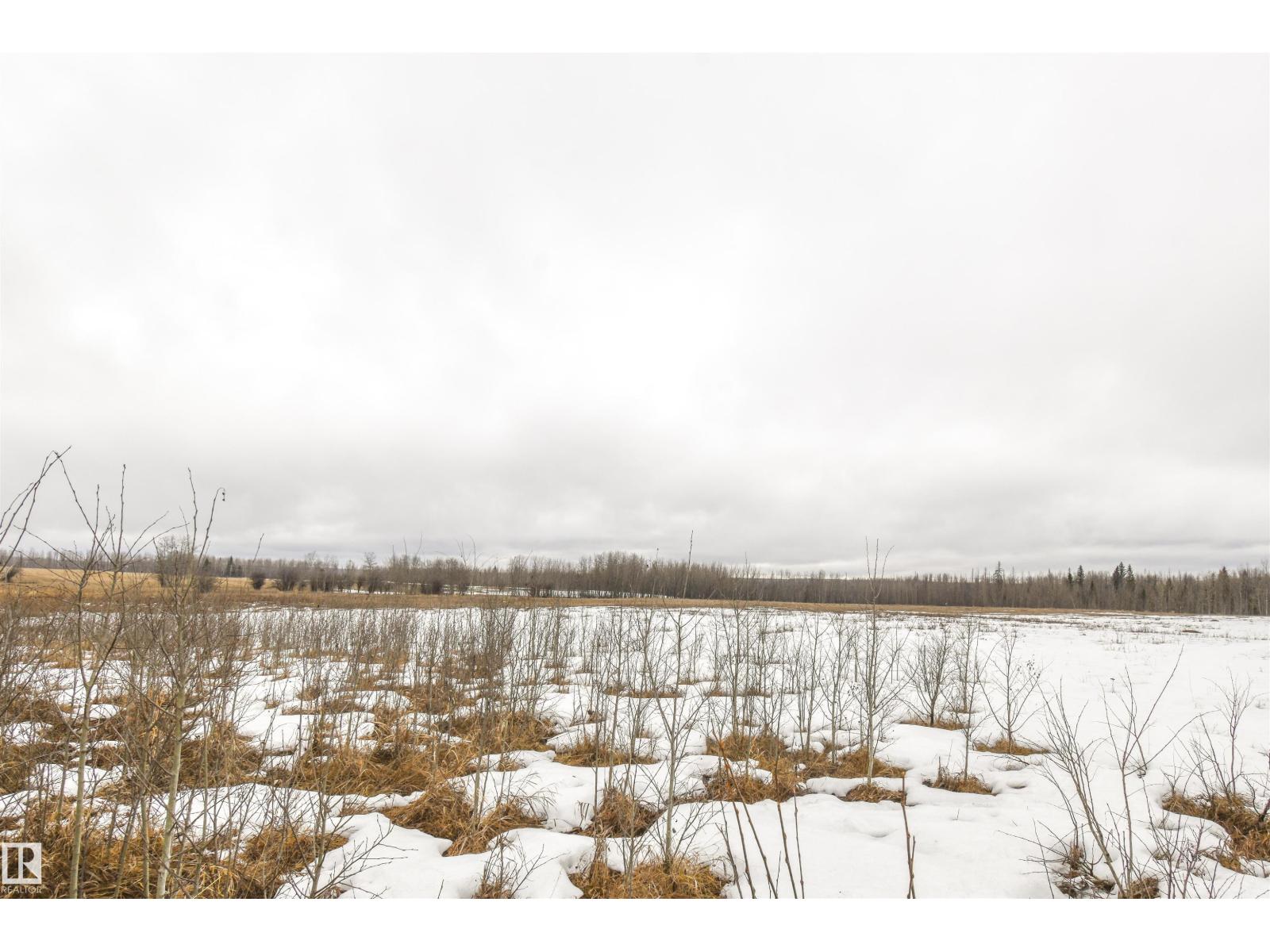 Rge Rd 73 And Twp Rd 484, Rural Brazeau County, Alberta  T7A 1R7 - Photo 13 - E4482902