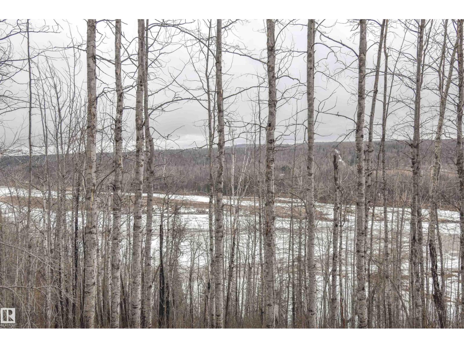 Rge Rd 73 And Twp Rd 484, Rural Brazeau County, Alberta  T7A 1R7 - Photo 15 - E4482902