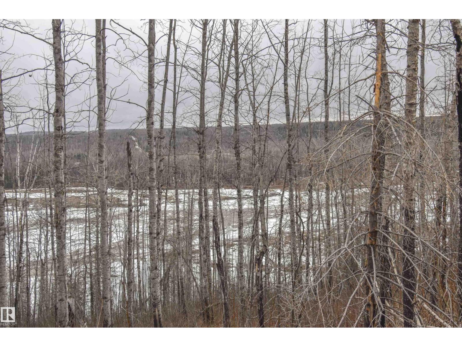 Rge Rd 73 And Twp Rd 484, Rural Brazeau County, Alberta  T7A 1R7 - Photo 16 - E4482902