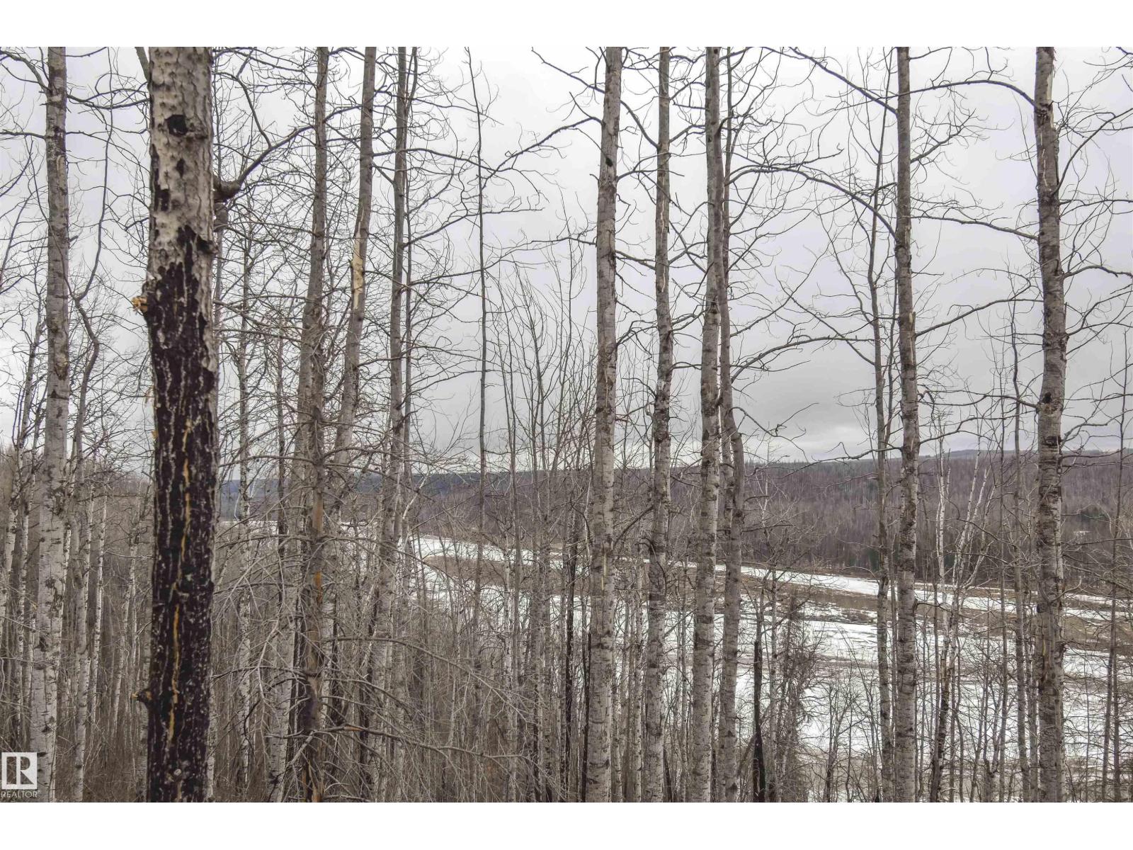 Rge Rd 73 And Twp Rd 484, Rural Brazeau County, Alberta  T7A 1R7 - Photo 17 - E4482902