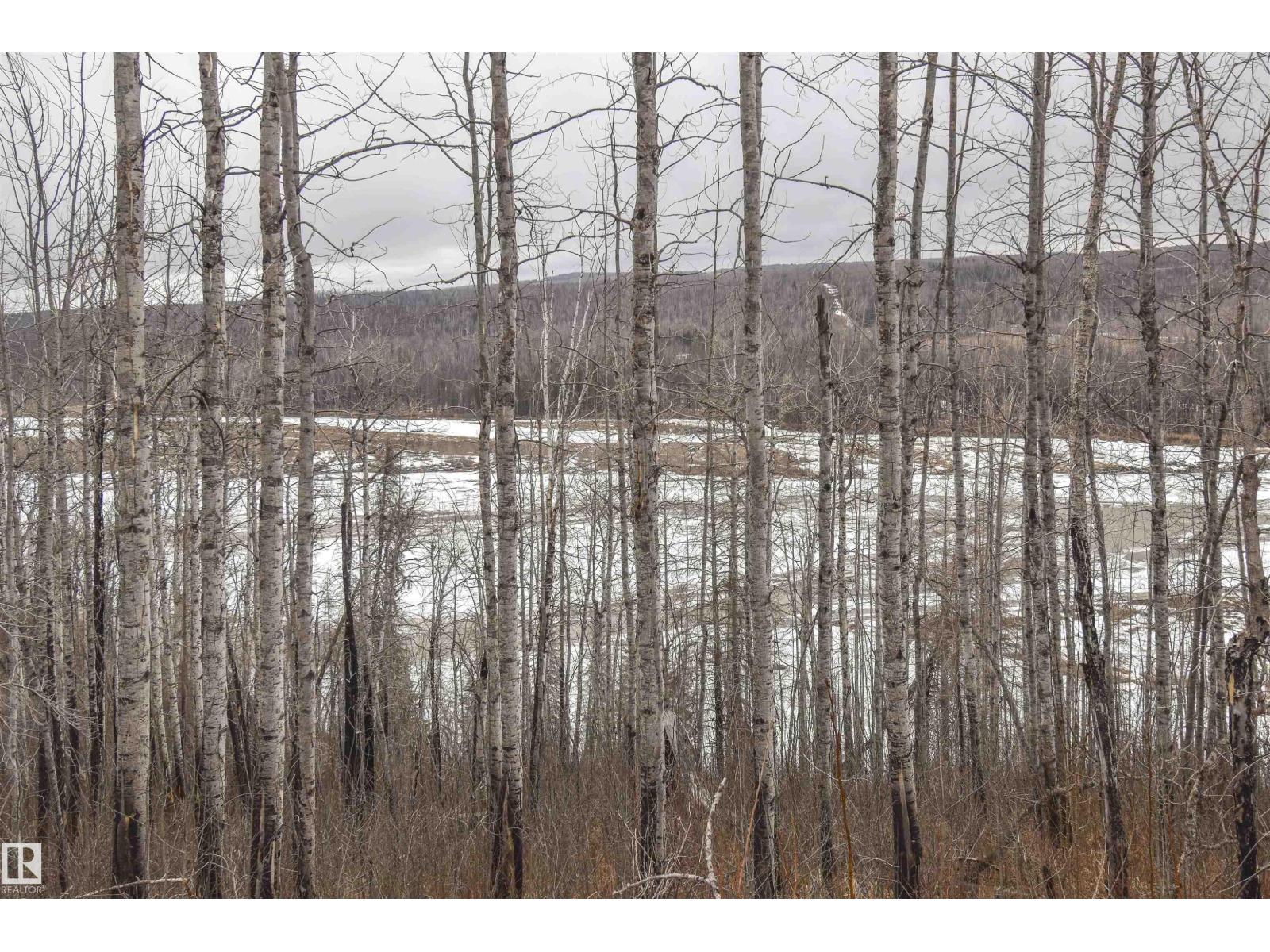 Rge Rd 73 And Twp Rd 484, Rural Brazeau County, Alberta  T7A 1R7 - Photo 18 - E4482902