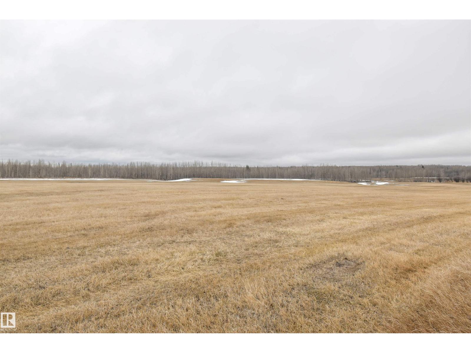 Rge Rd 73 And Twp Rd 484, Rural Brazeau County, Alberta  T7A 1R7 - Photo 2 - E4482902