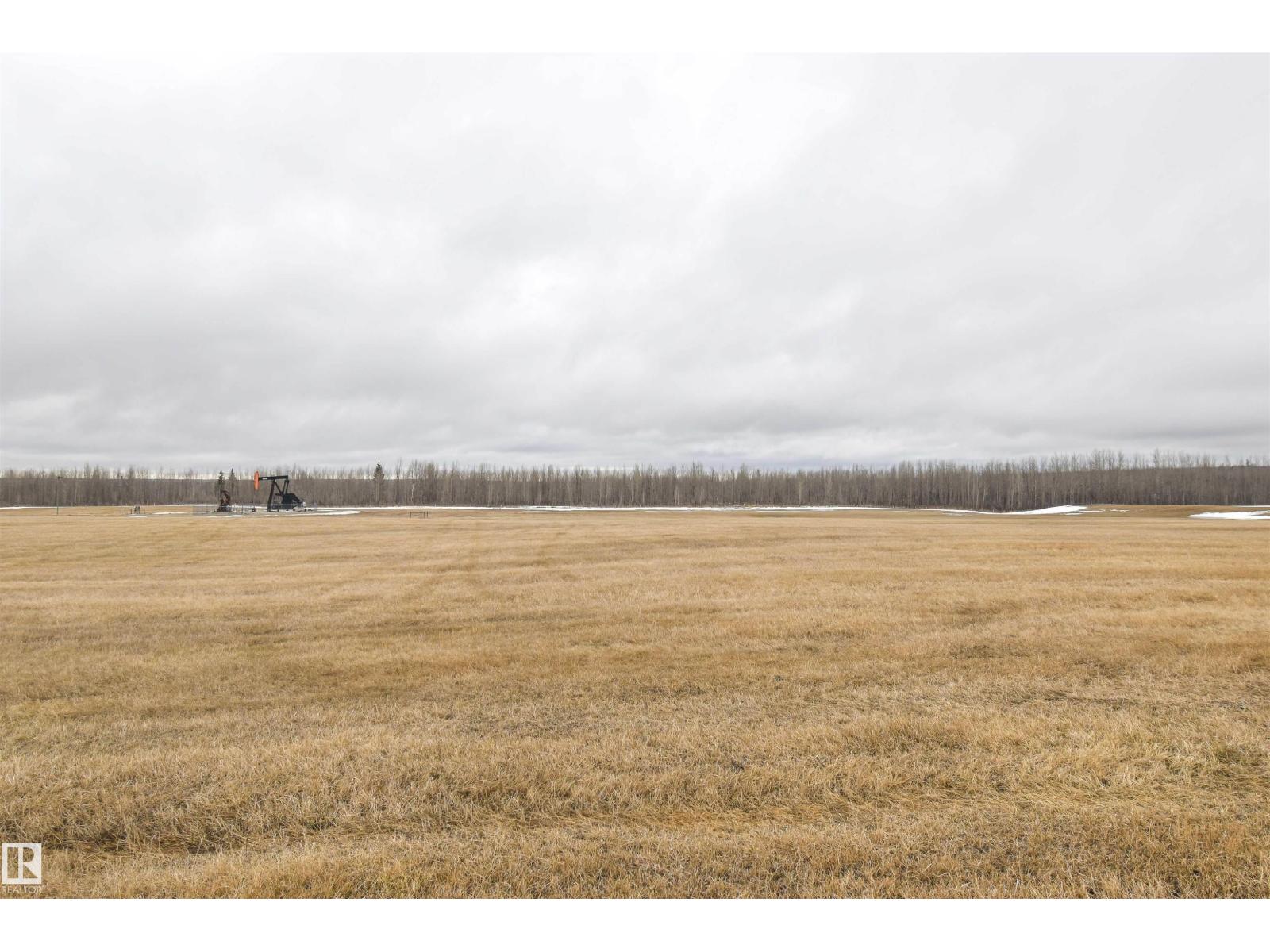 Rge Rd 73 And Twp Rd 484, Rural Brazeau County, Alberta  T7A 1R7 - Photo 3 - E4482902