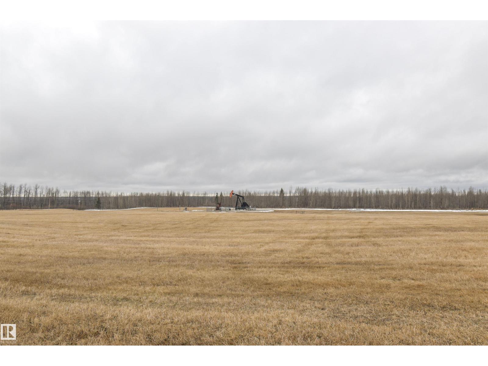 Rge Rd 73 And Twp Rd 484, Rural Brazeau County, Alberta  T7A 1R7 - Photo 4 - E4482902