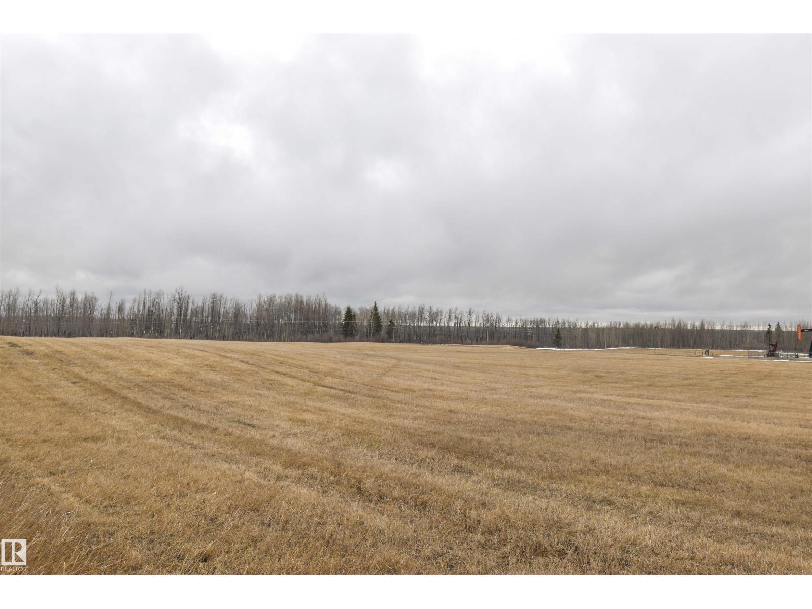 Rge Rd 73 And Twp Rd 484, Rural Brazeau County, Alberta  T7A 1R7 - Photo 5 - E4482902