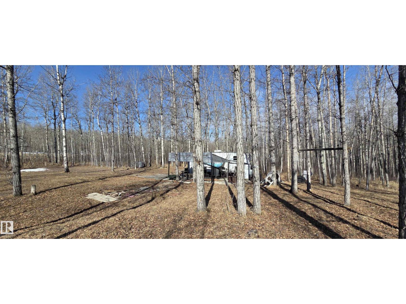 #4 13070 464 Twp Rd, Rural Wetaskiwin County, Alberta  T0C 2V0 - Photo 8 - E4483092