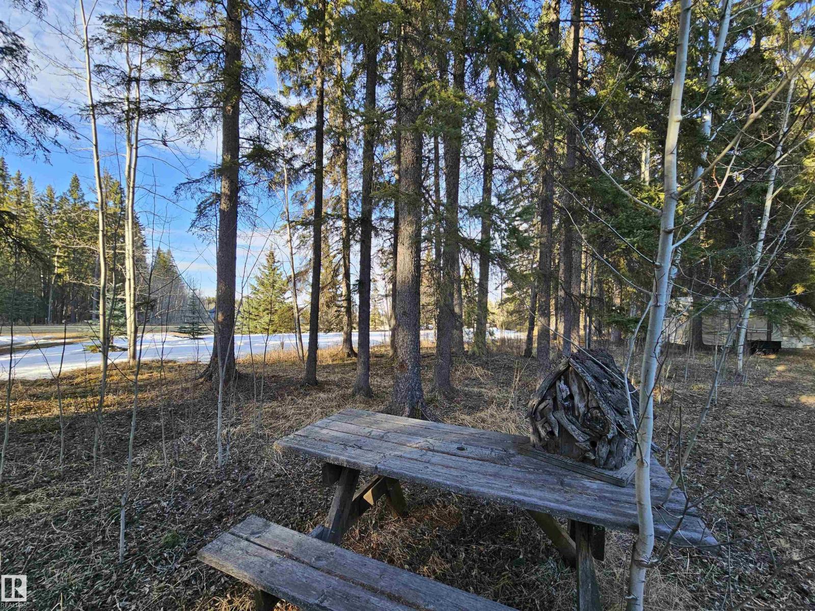 #13 63065 Twp Road 464, Rural Wetaskiwin County, Alberta  T0C 0T0 - Photo 21 - E4483154