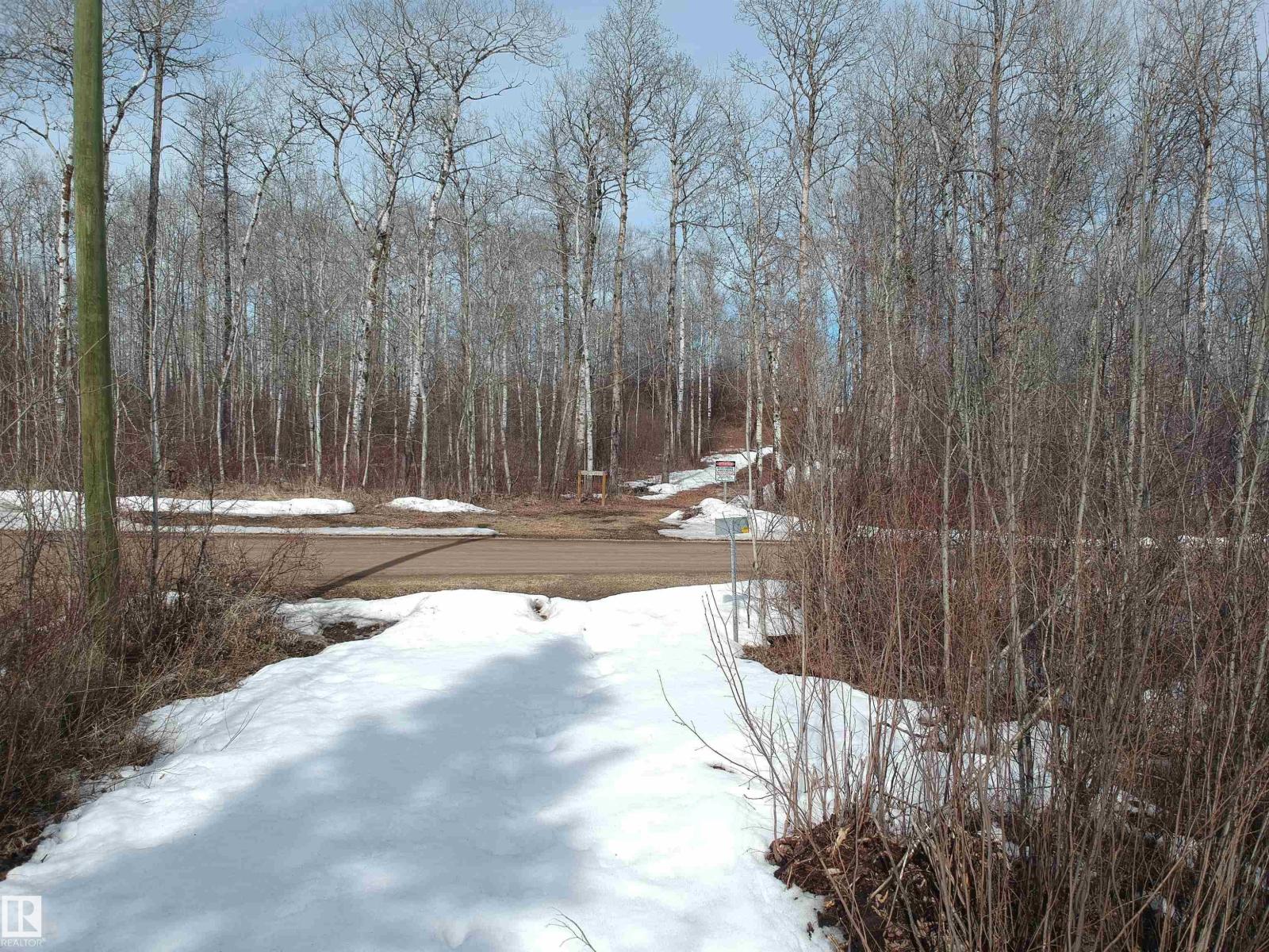 859 Westcove Dr, Rural Lac Ste. Anne County, Alberta T0E 1V0 - Photo 39 - E4483183