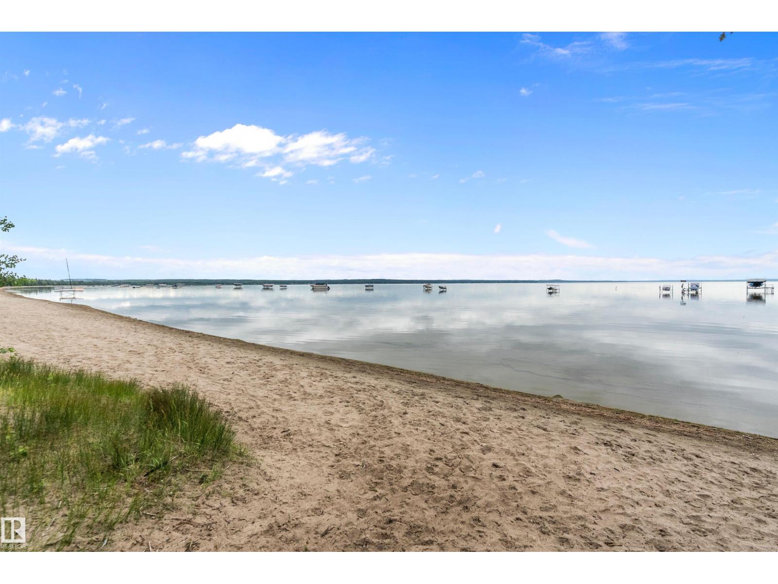 110 1st Av, Rural Wetaskiwin County, Alberta  T0C 1X0 - Photo 61 - E4483197