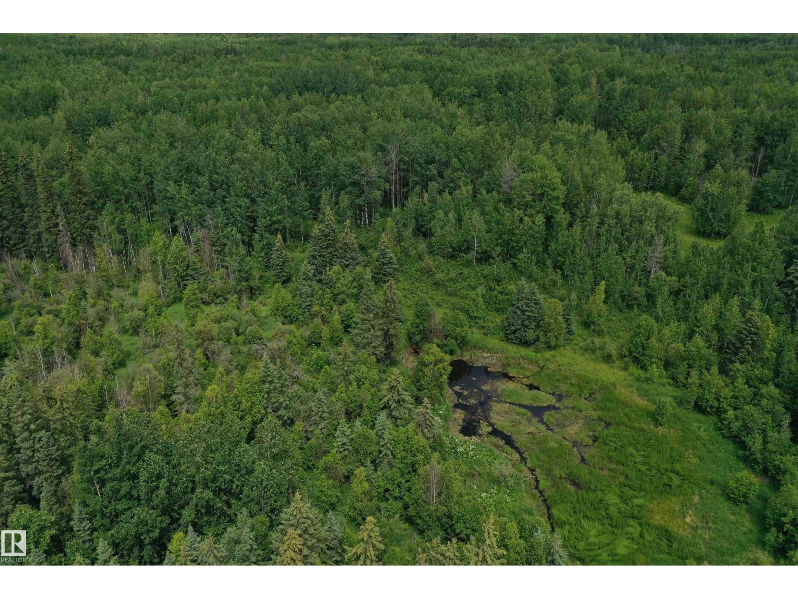 On Township Road 522, Rural Parkland County, Alberta  T0E 2B0 - Photo 10 - E4483335