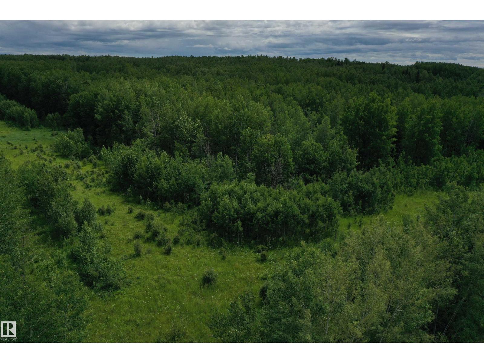 On Township Road 522, Rural Parkland County, Alberta  T0E 2B0 - Photo 11 - E4483335