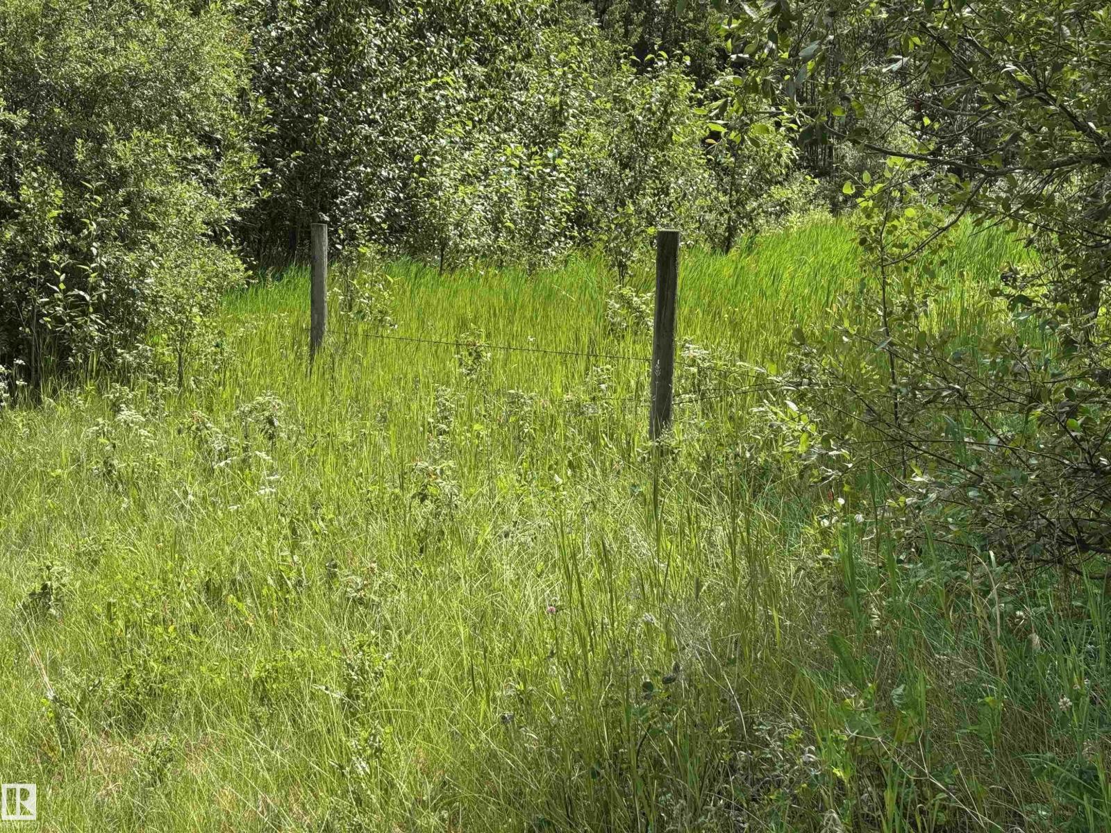 On Township Road 522, Rural Parkland County, Alberta  T0E 2B0 - Photo 13 - E4483335