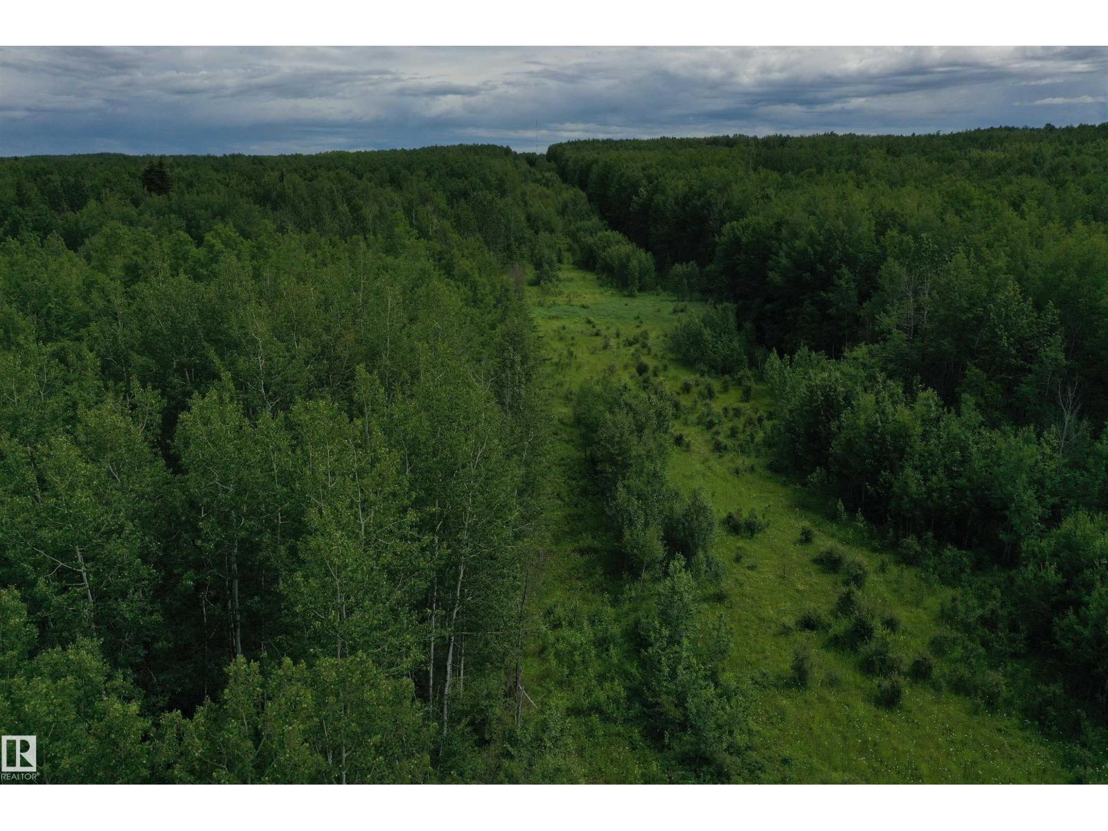 On Township Road 522, Rural Parkland County, Alberta  T0E 2B0 - Photo 2 - E4483335