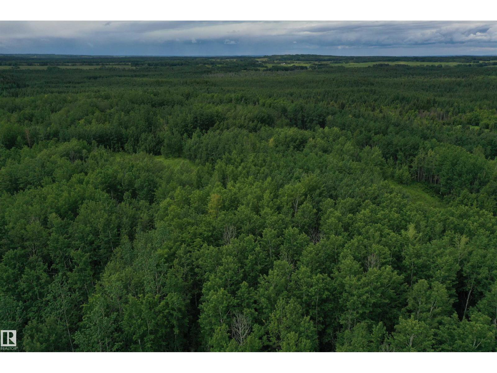 On Township Road 522, Rural Parkland County, Alberta  T0E 2B0 - Photo 6 - E4483335