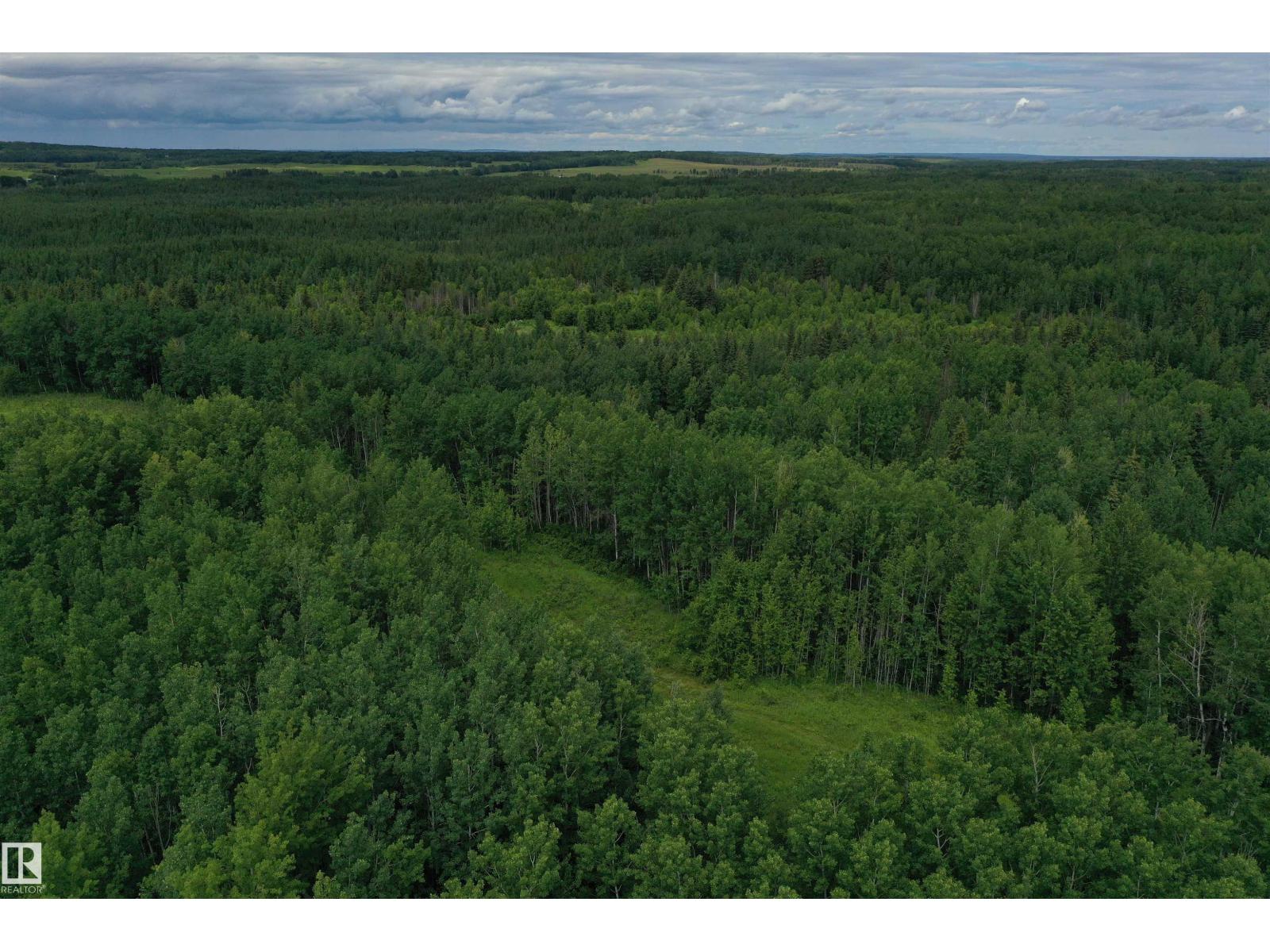 On Township Road 522, Rural Parkland County, Alberta  T0E 2B0 - Photo 7 - E4483335