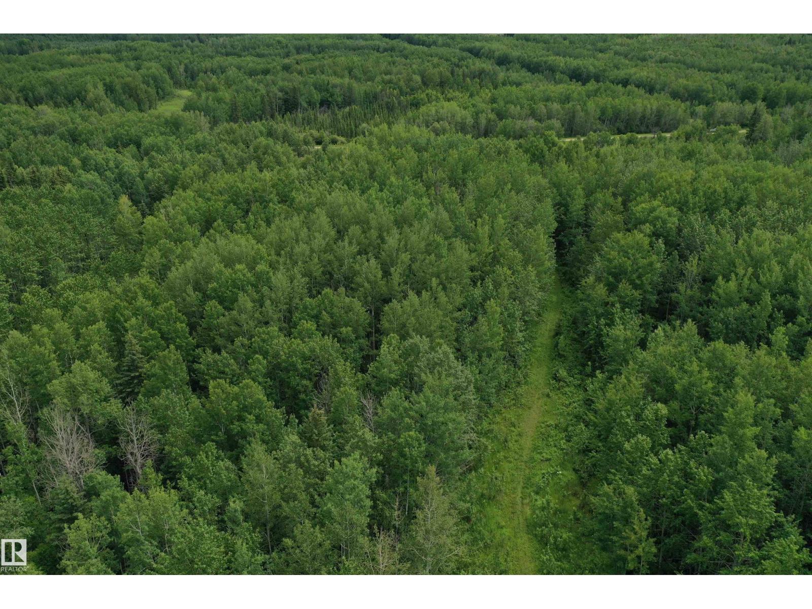 On Township Road 522, Rural Parkland County, Alberta  T0E 2B0 - Photo 9 - E4483335