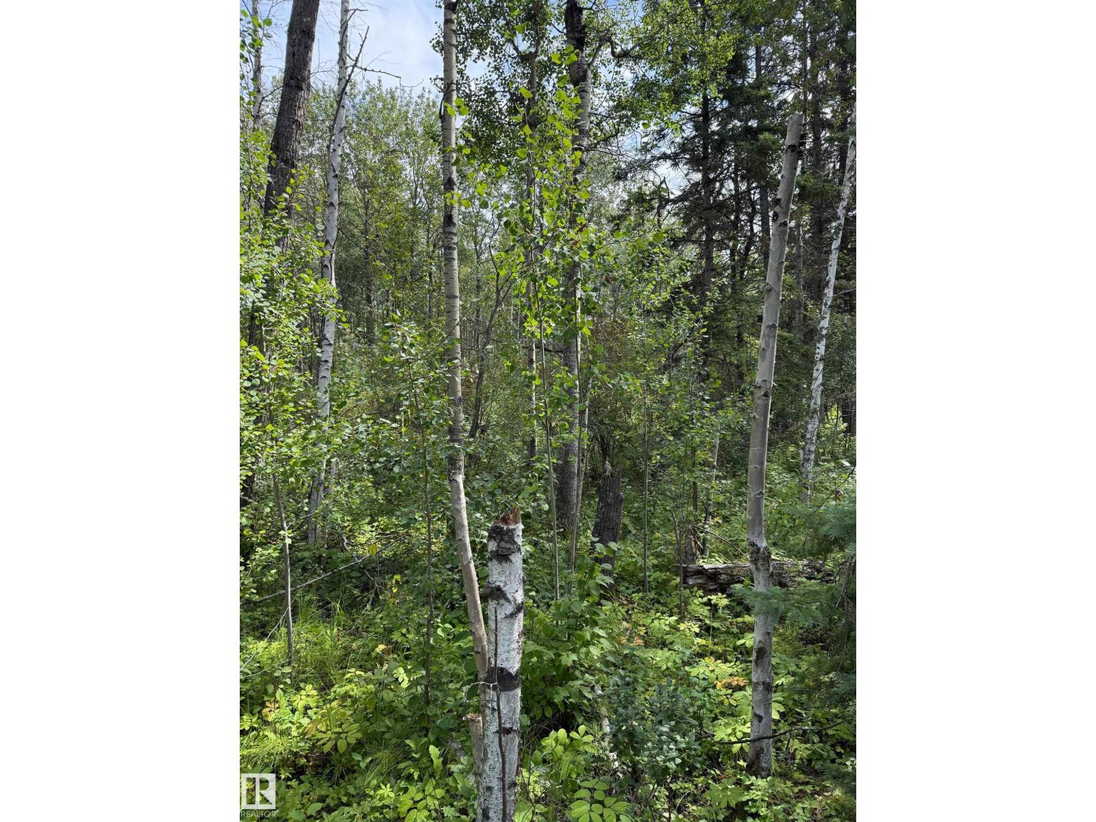 81 Twp Rd 550, Rural Lac Ste. Anne County, Alberta  T0E 0L0 - Photo 14 - E4483366