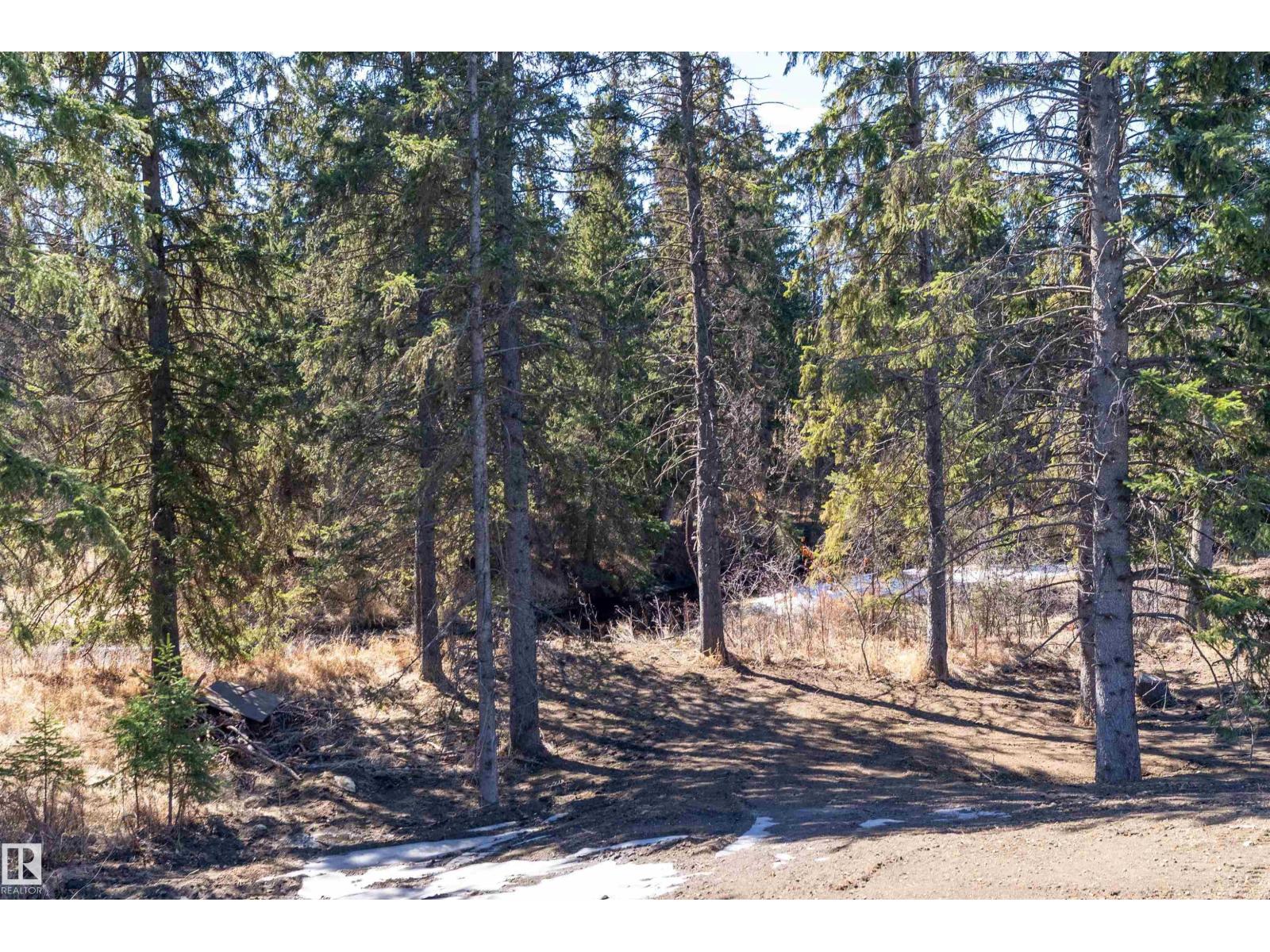 131 Bela Dr, Millet, Alberta  T0C 1Z0 - Photo 57 - E4483376