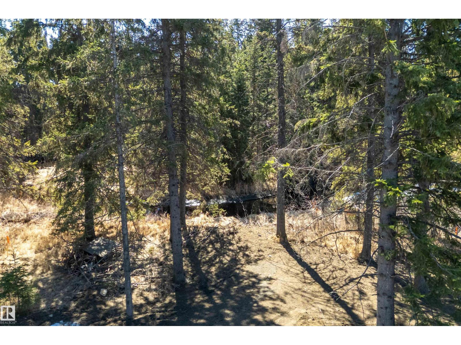 131 Bela Dr, Millet, Alberta  T0C 1Z0 - Photo 61 - E4483376