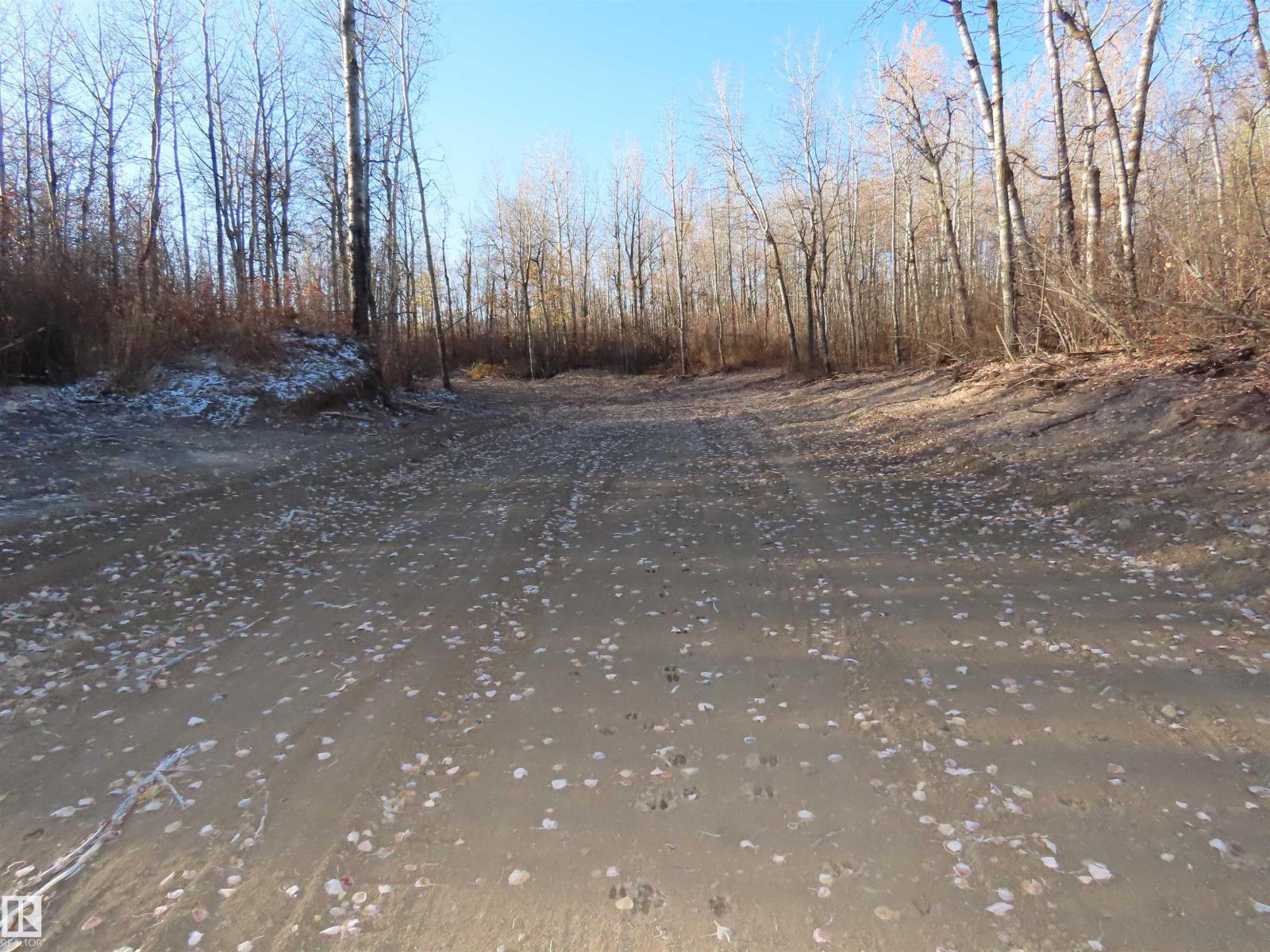 54425 Ste Anne Trail, Rural Lac Ste. Anne County, Alberta  T0E 1V0 - Photo 13 - E4483551