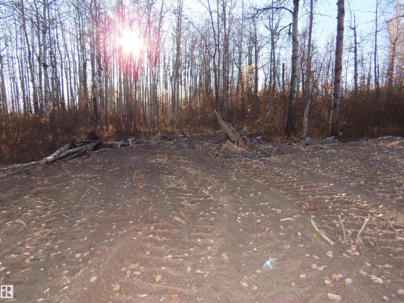 54425 Ste Anne Trail, Rural Lac Ste. Anne County, Alberta  T0E 1V0 - Photo 14 - E4483551