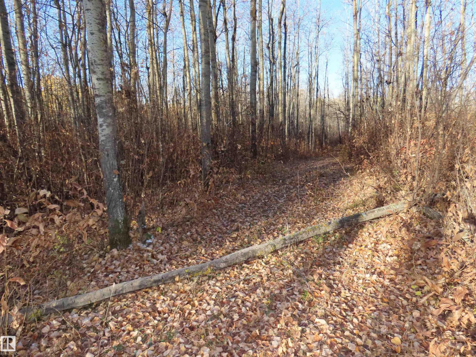 54425 Ste Anne Trail, Rural Lac Ste. Anne County, Alberta  T0E 1V0 - Photo 18 - E4483551