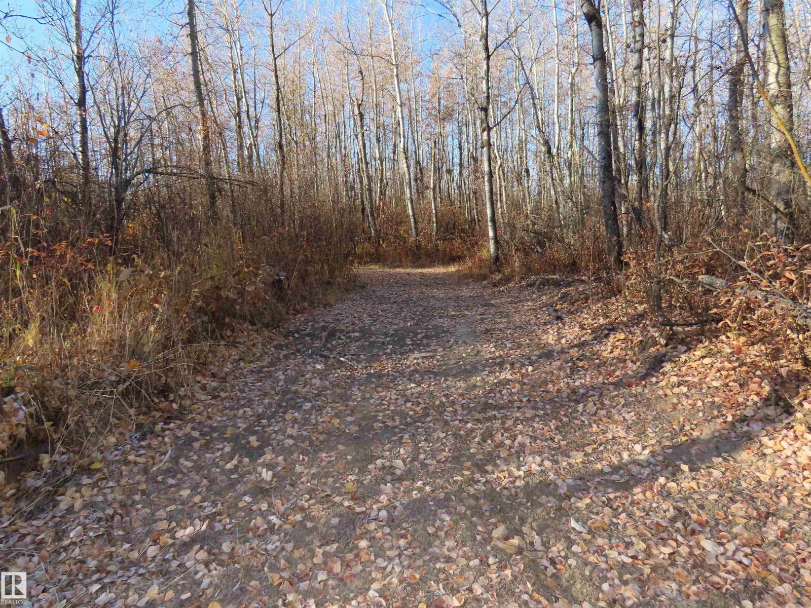 54425 Ste Anne Trail, Rural Lac Ste. Anne County, Alberta  T0E 1V0 - Photo 20 - E4483551