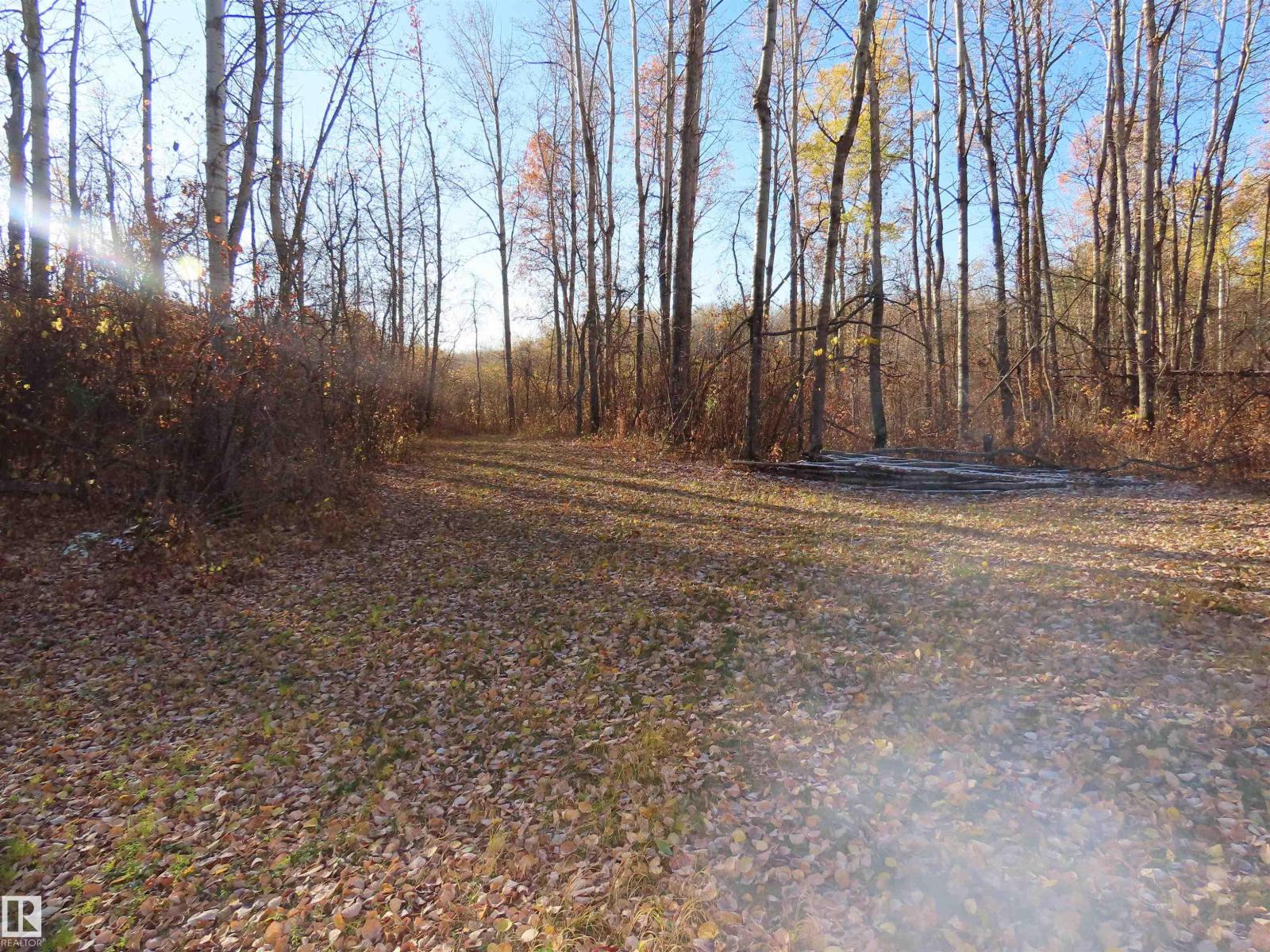 54425 Ste Anne Trail, Rural Lac Ste. Anne County, Alberta  T0E 1V0 - Photo 21 - E4483551