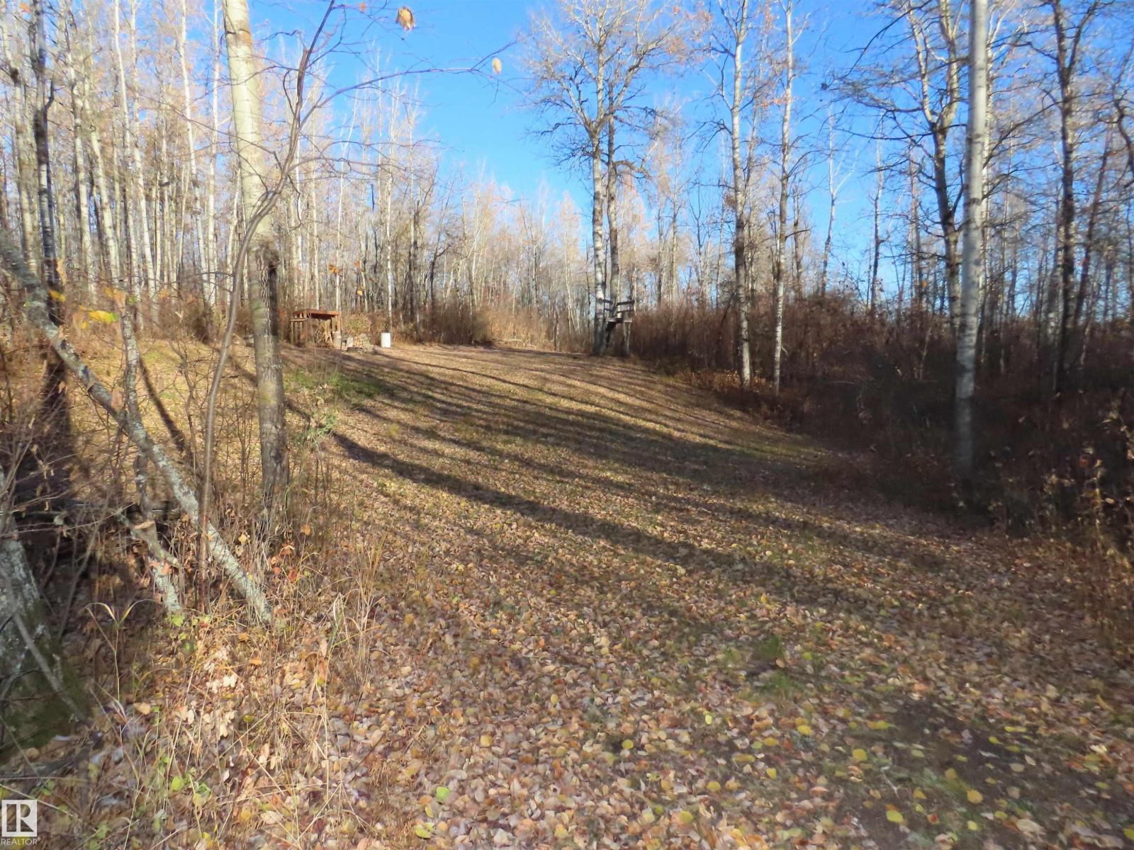 54425 Ste Anne Trail, Rural Lac Ste. Anne County, Alberta  T0E 1V0 - Photo 4 - E4483551