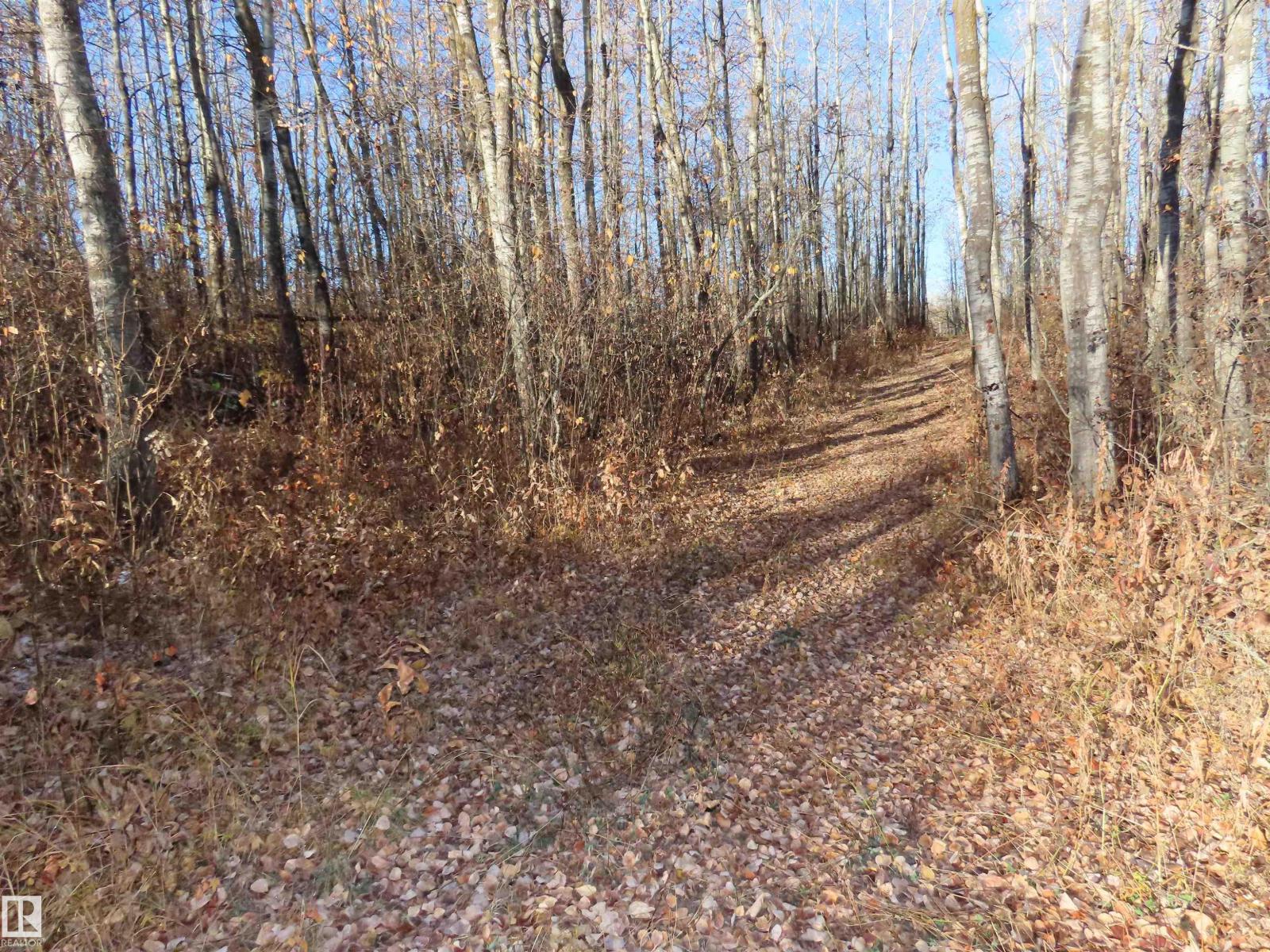 54425 Ste Anne Trail, Rural Lac Ste. Anne County, Alberta  T0E 1V0 - Photo 5 - E4483551