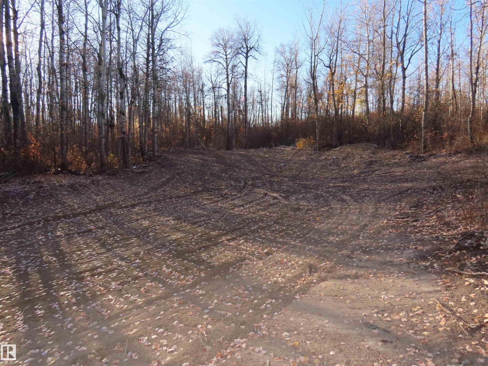 54425 Ste Anne Trail, Rural Lac Ste. Anne County, Alberta  T0E 1V0 - Photo 7 - E4483551