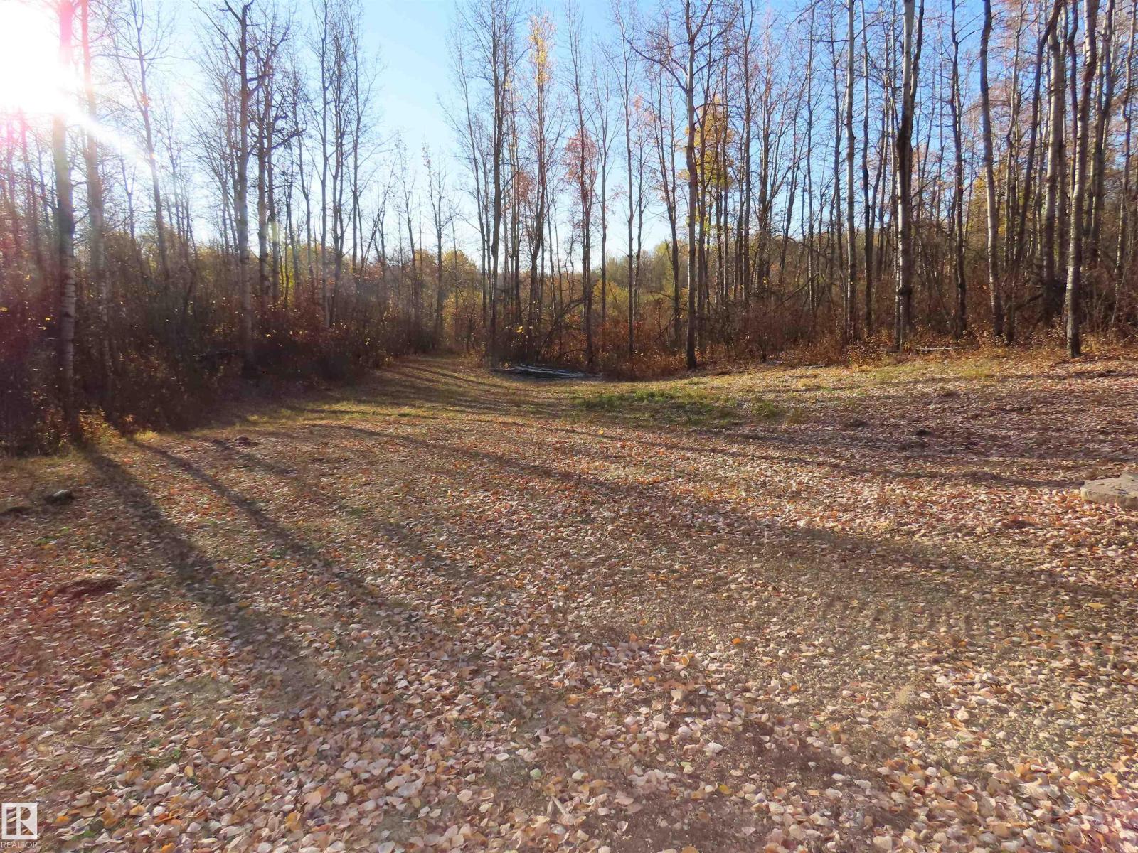 54425 Ste Anne Trail, Rural Lac Ste. Anne County, Alberta  T0E 1V0 - Photo 9 - E4483551