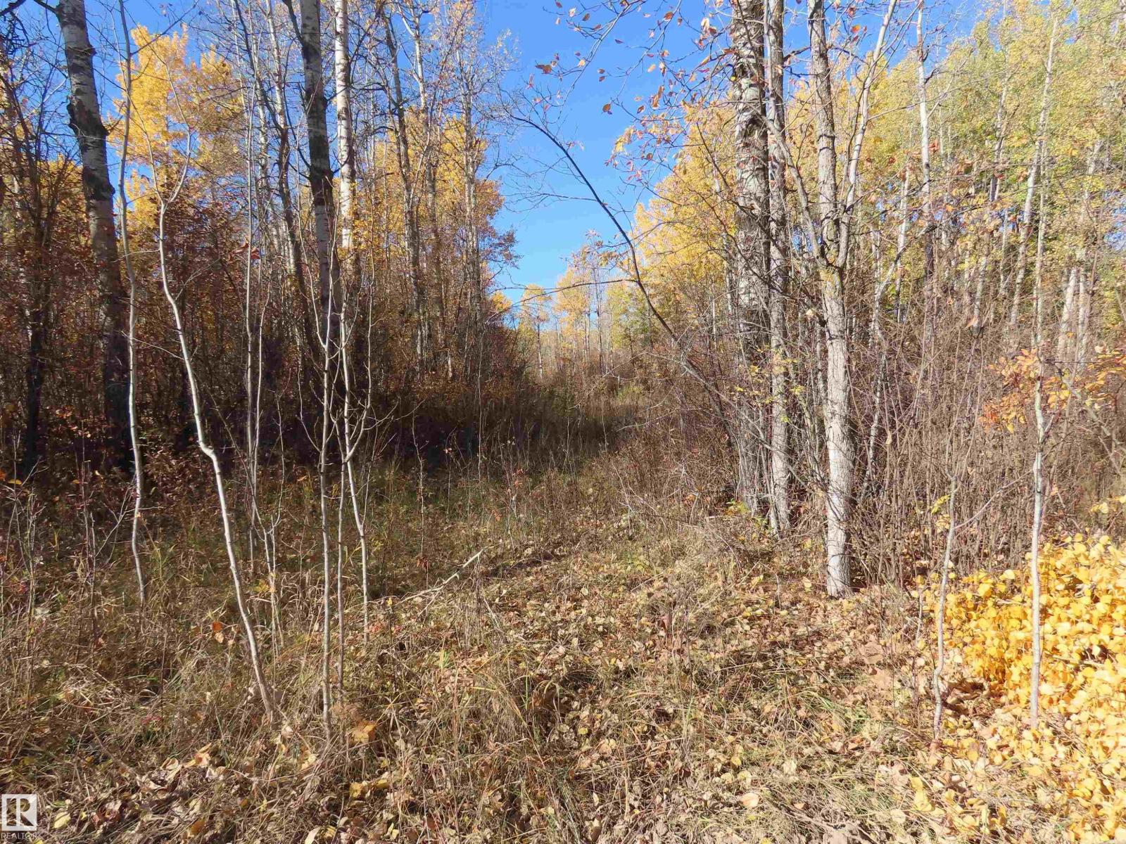 Rr 31 Museum Road, Rural Lac Ste. Anne County, Alberta  T0E 1V0 - Photo 4 - E4483553