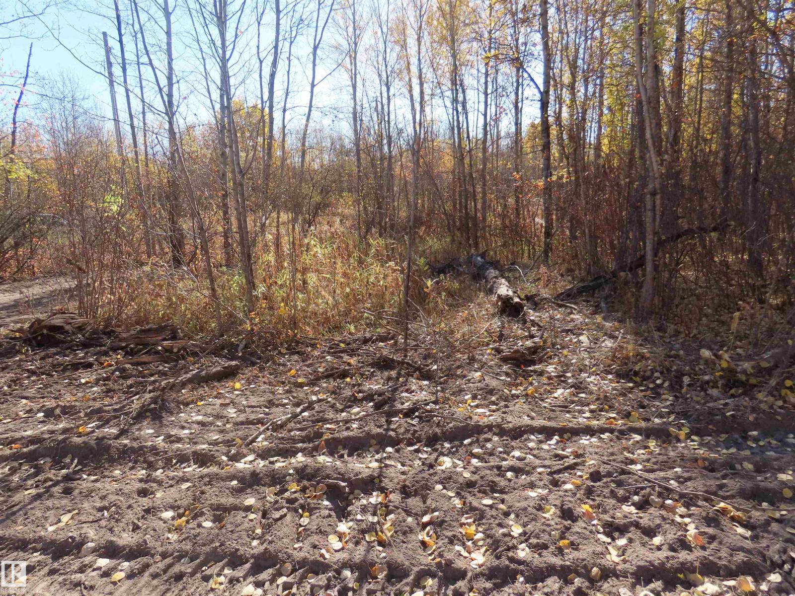 Rr 31 Museum Road, Rural Lac Ste. Anne County, Alberta  T0E 1V0 - Photo 7 - E4483553