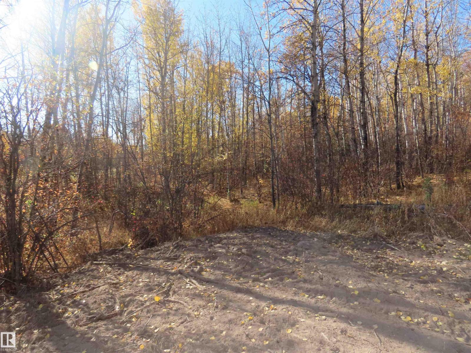 Rr 31 Museum Road, Rural Lac Ste. Anne County, Alberta  T0E 1V0 - Photo 8 - E4483553