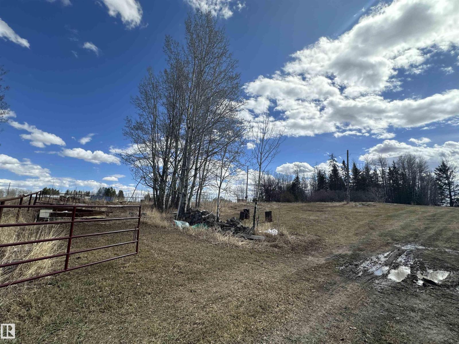 4930 50 Av, Rural Brazeau County, Alberta  T0C 1W0 - Photo 12 - E4483893