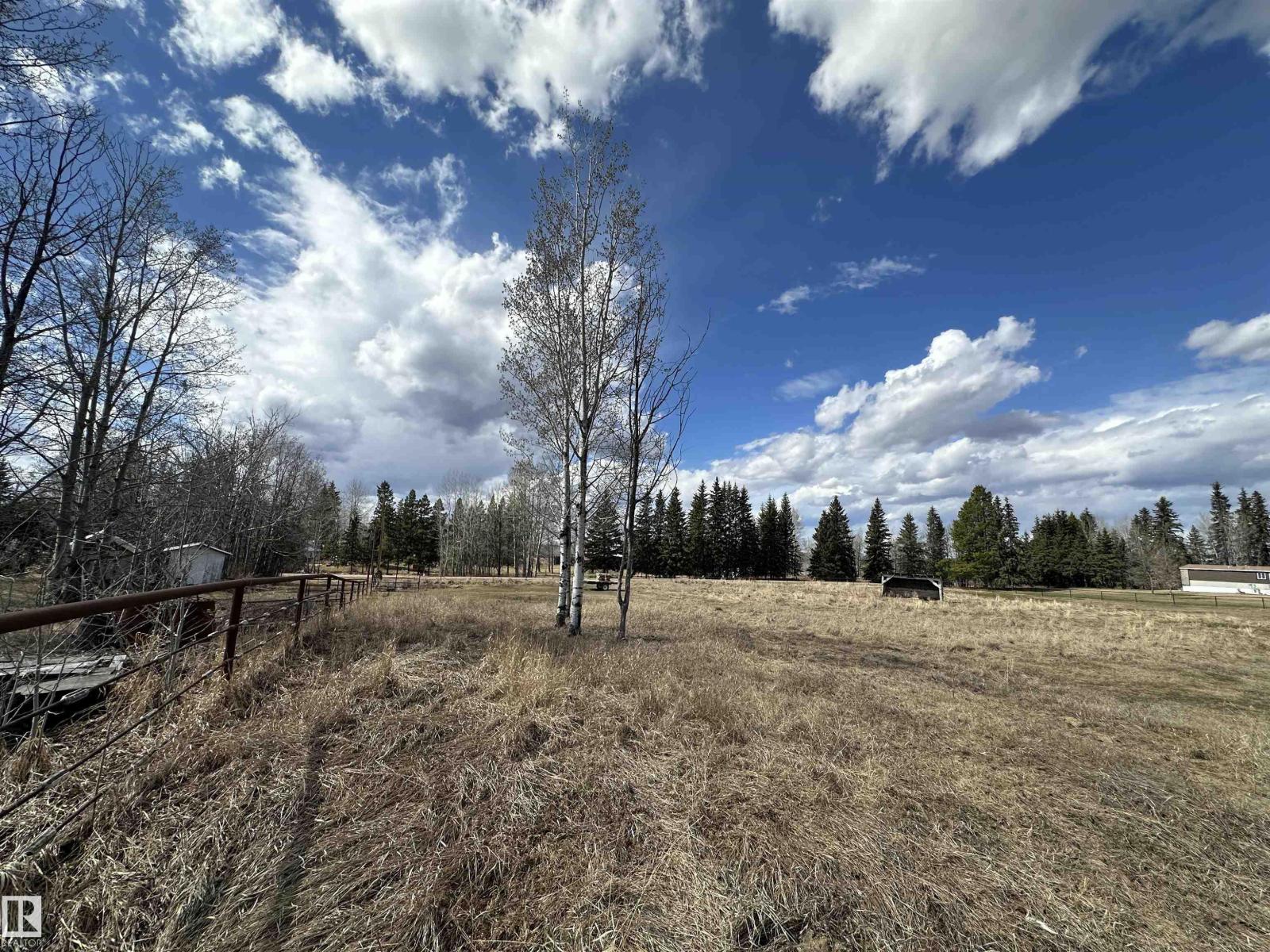 4930 50 Av, Rural Brazeau County, Alberta  T0C 1W0 - Photo 23 - E4483893