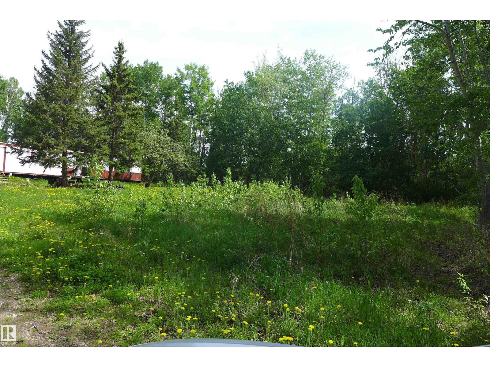 5430 Hghway 16, Rural Parkland County, Alberta  T0E 0W0 - Photo 6 - E4484029